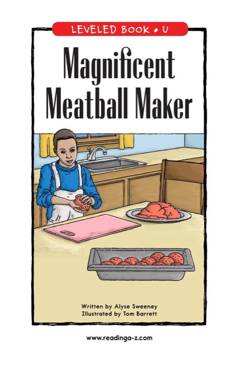 Magnificent Meatball Maker (RAZ U)