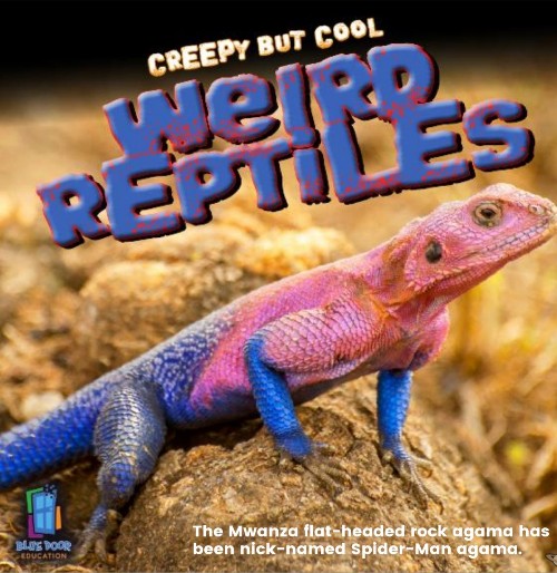 Creepy But Cool Weird Reptiles