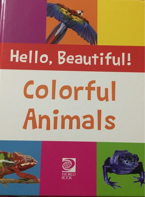 Hello, Beautiful! Colorful Animals