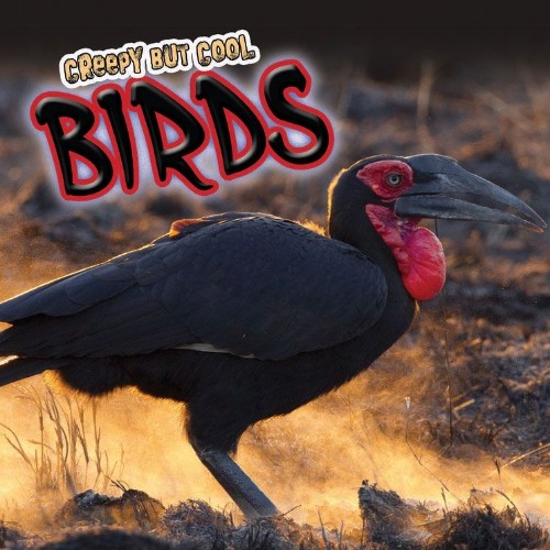 Creepy But Cool Birds