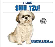 I Like Shih Tzu! (Discover Dogs with t