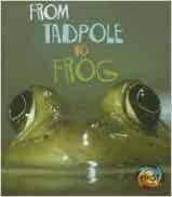 From Tadpole to Frog: [NYC Schools] (H