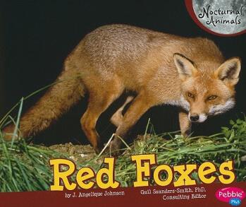 Red Foxes (Pebble Plus: Nocturnal Anim