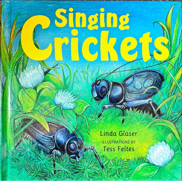 Singing Crickets