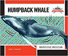 Humpback Whale: Marvelous Musician (An