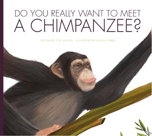 Do You Really Want To Meet a Chimpanze