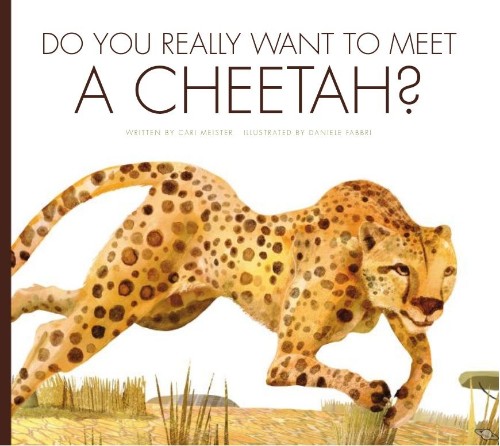 Do You Really Want To Meet a Cheetah