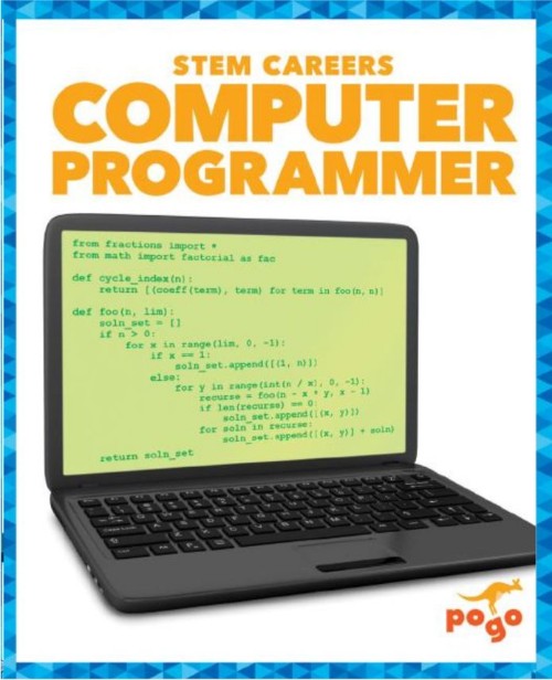 Computer Programmer