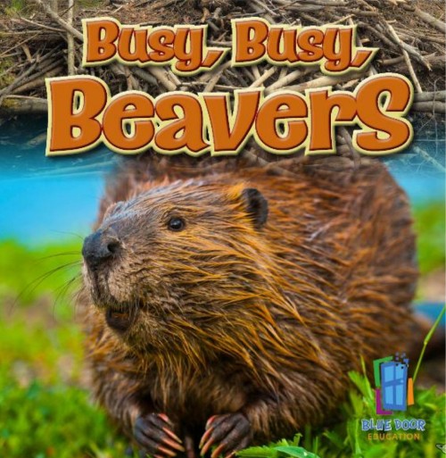 Busy, Busy, Beavers