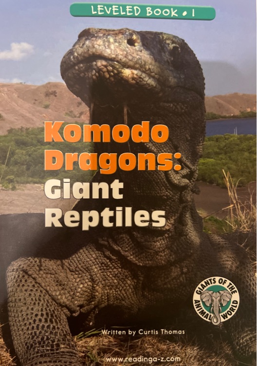 Komodo Dragons:Giant Reptiles