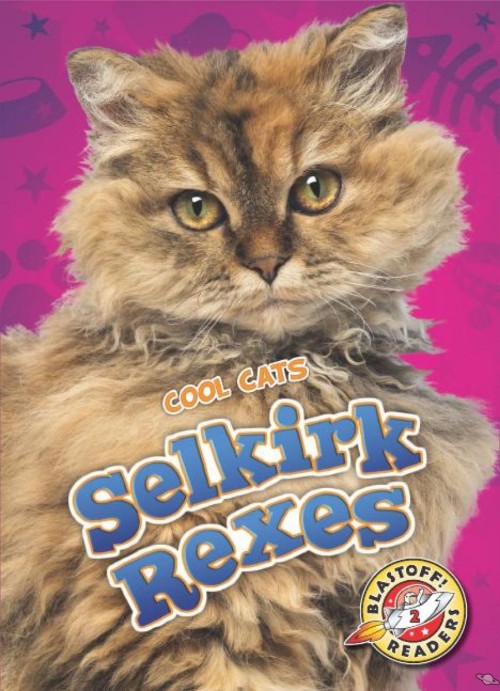 Selkirk Rexes