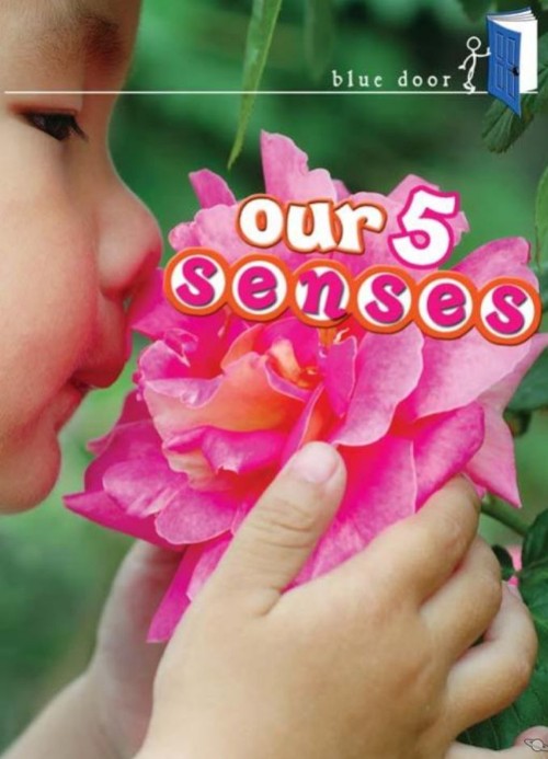 Our Five Senses