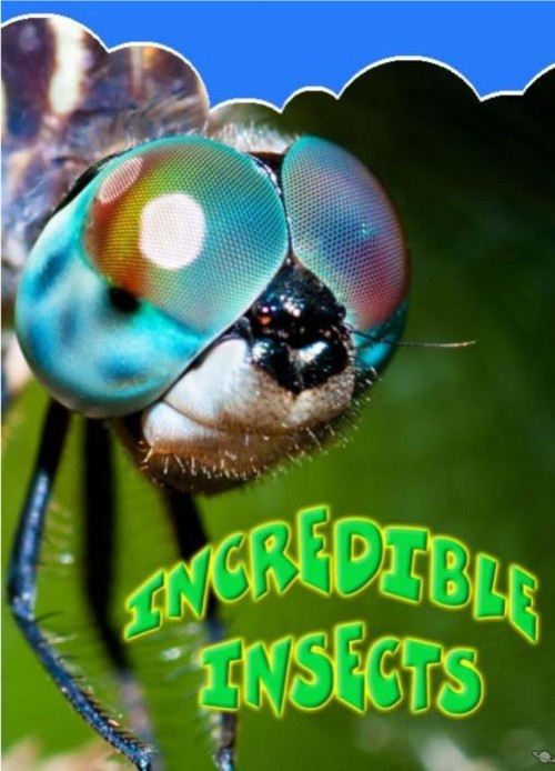 Incredible Insects