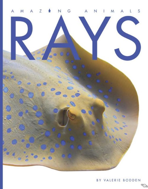 Rays