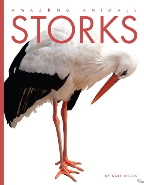 Storks