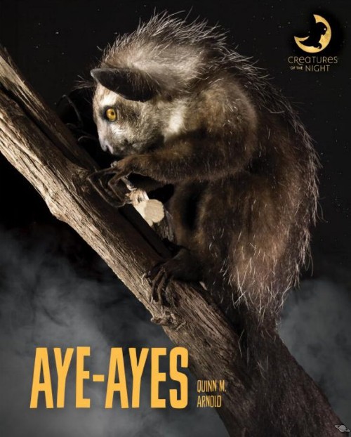 Aye-ayes