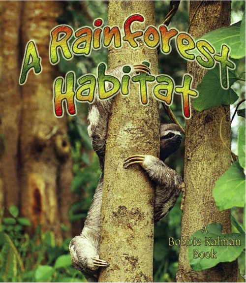 A Rainforest Habitat