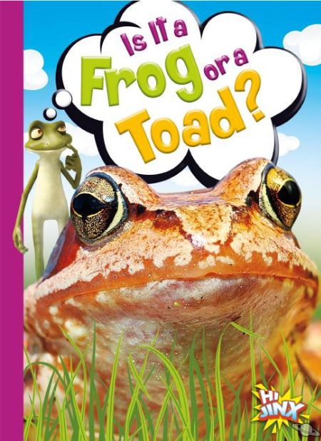 Is It a Frog or a Toad